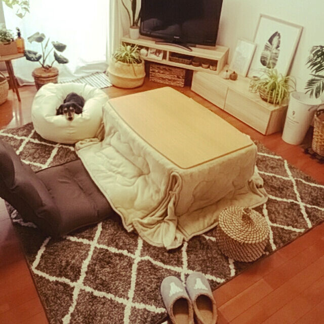 reonの-salut!(サリュ) フェルトパンプキンSWH ホワイトの家具・インテリア写真