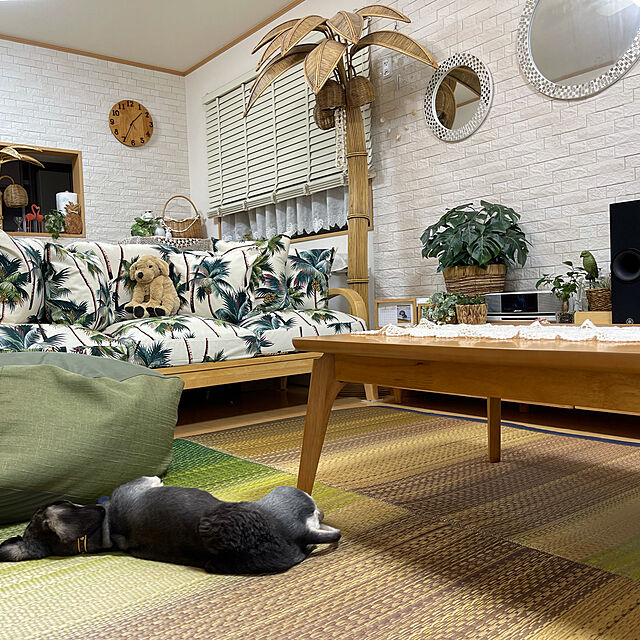 kiyomiの-純国産 い草ラグ デニム 長方形 「 Fジョイ 」 (約)191×250cm レッド、グリーン デニムヘリ い草 ラグ 夏 ござ 涼感 さわやか イケヒコ い草ラグの家具・インテリア写真
