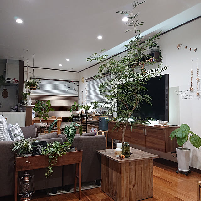 写真付きレビュー】【取寄品】【納期2〜3か月】Planter(プランター