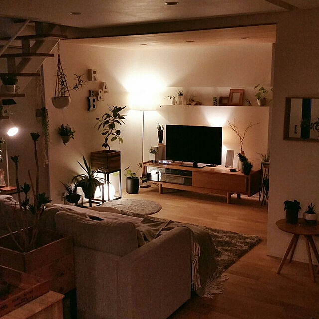 chieのニトリ-毛布 シングル(フンワリタッチ H LGY S) の家具・インテリア写真