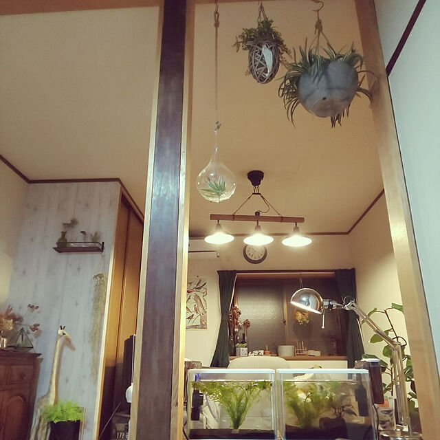 mizuのジェックス-ジェックス ガラス 金魚元気 水きれいセット Sの家具・インテリア写真