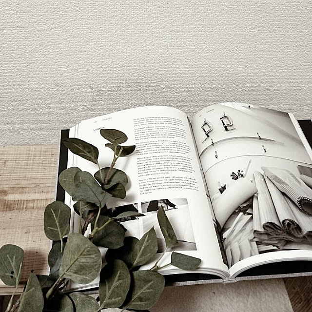sakiのイケア-IKEA イケア フェイクリーフ ユーカリ グリーン SMYCKA スミッカ 65 cm 003.357.72の家具・インテリア写真