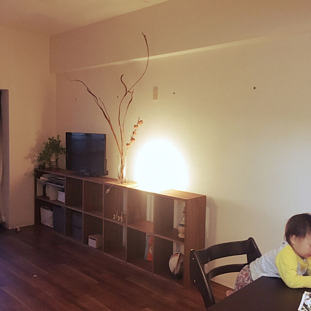 Akiのニトリ-フリーチェア(ジャスト3 MBR) の家具・インテリア写真