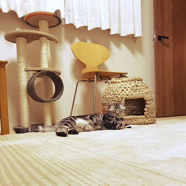 mkmkmoominの-猫つぐらの作り方 藁や紙紐で編む猫の家 / 誠文堂新光社  〔本〕の家具・インテリア写真