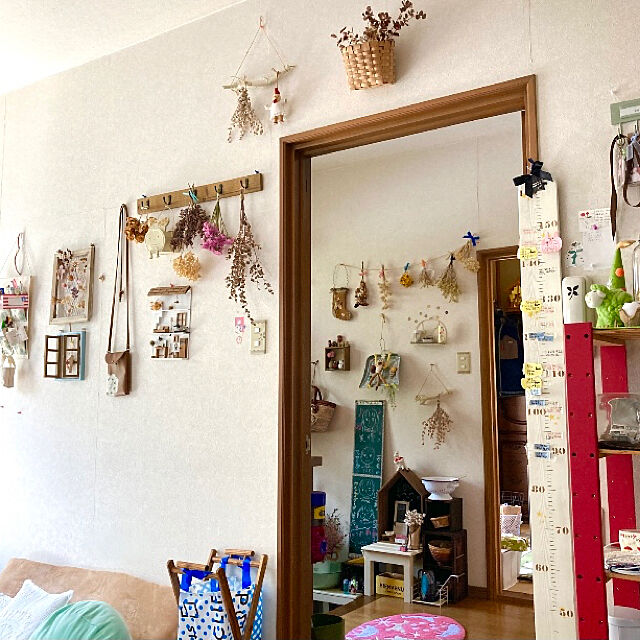 takakoの-アジサイ 『 アナベル 』 白　6号スリット鉢植え 苗木の家具・インテリア写真