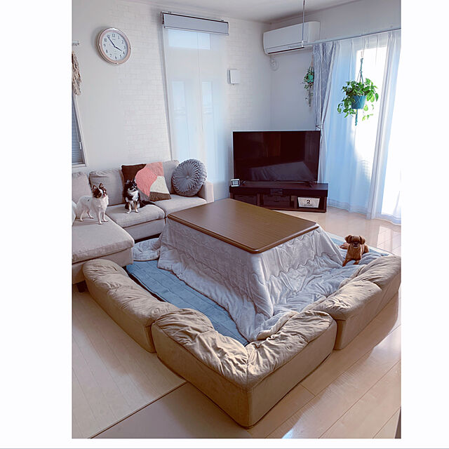 makoのニトリ-こたつ掛ふとん 長方形(KK2201リバース) の家具・インテリア写真