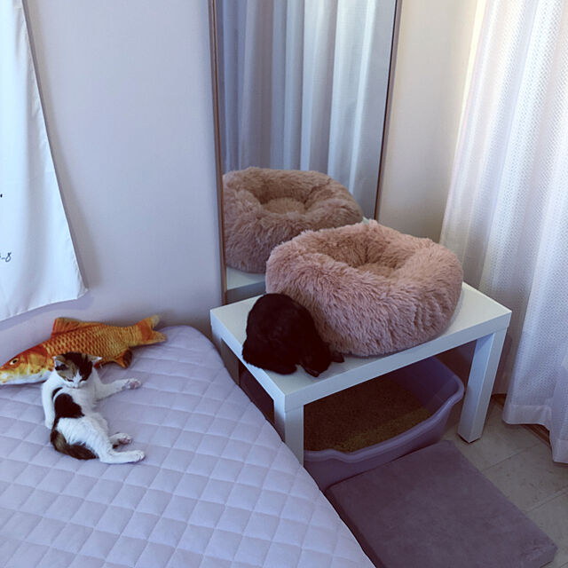 kanaのskazi-Skazi ペットベッド 猫ベッド 中小型 犬ベッド 直径60cm 丸型 クッション シャギー素材 ふわふわ 冬用 あったか 崩れにくい 耐久性良い キャット ベッド 洗える ピンクの家具・インテリア写真