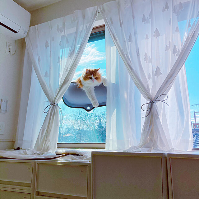 H.Tの-『安心の正規品』EZ Mount window Bed イージーマウントウィンドウベッド 猫 ベッド 窓貼付けハンモック 強力吸盤 【wet21】[RC2204]の家具・インテリア写真