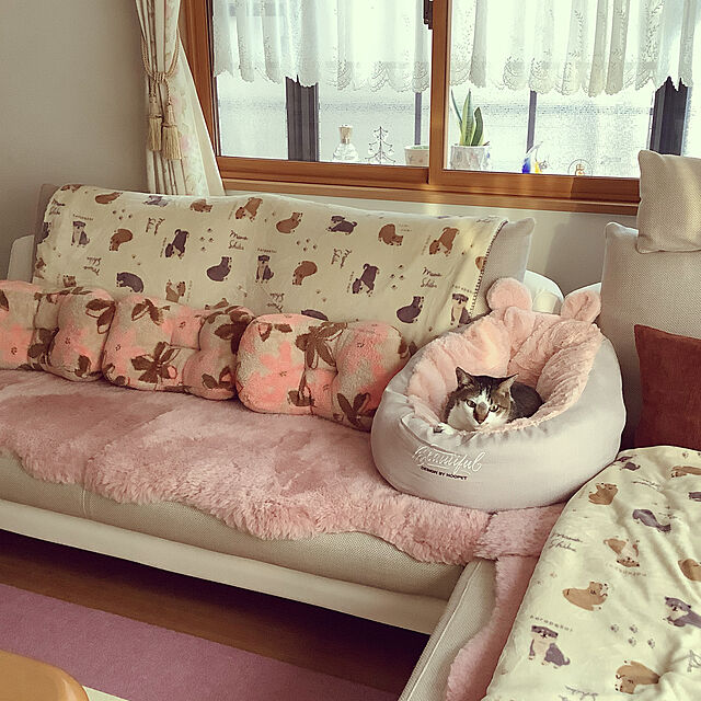 haruminの-ベッド クッション 猫 キャット 小型犬 冬用 ハウス あったか ベッド クッション ペット用寝袋 保温防寒 ドーム型 ふわふわ 暖かい S M Panni 送料無料の家具・インテリア写真