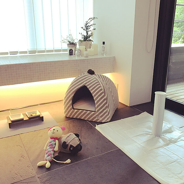 Natsumi9の-【REPLUS+】メシダイ Meshidai400cc×2 S2の家具・インテリア写真