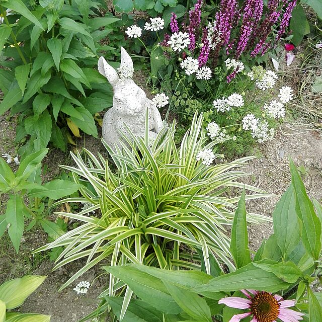 noraの-イギリス Hampshire Garden Craft社ドラゴンストーンシリーズ・ガーデンオブジェ・ウサギ・SMALL SITING　RABBIT(AN87)の家具・インテリア写真