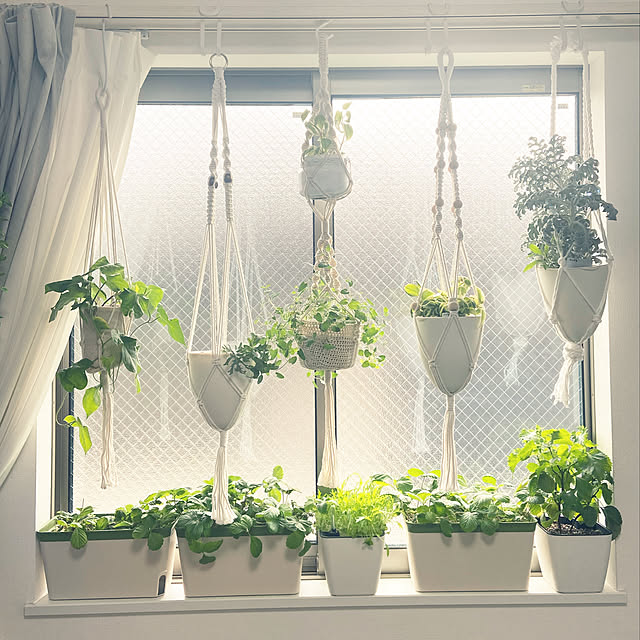 写真付きレビュー Sunworld Dkse 3world 吊るす 植物 ハンギング プランター 自動給水 マクラメ ネット付 空間 インテリア デザイン Sw1763中サイズ 2個 の通販商品 口コミ情報 Roomclipショッピング