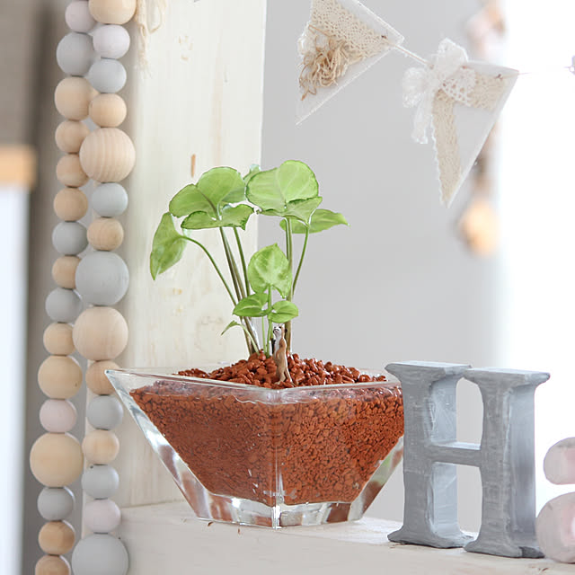 写真付きレビュー 3袋セット販売 セラミス グラニュー7 5l 2 5lx3袋 日本正規輸入品 セラミス用土の通販商品 口コミ情報 Roomclipショッピング