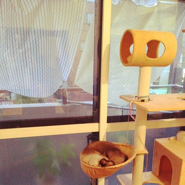 Takachikiの二見書房-ねこ鍋―みちのく猫ものがたりの家具・インテリア写真