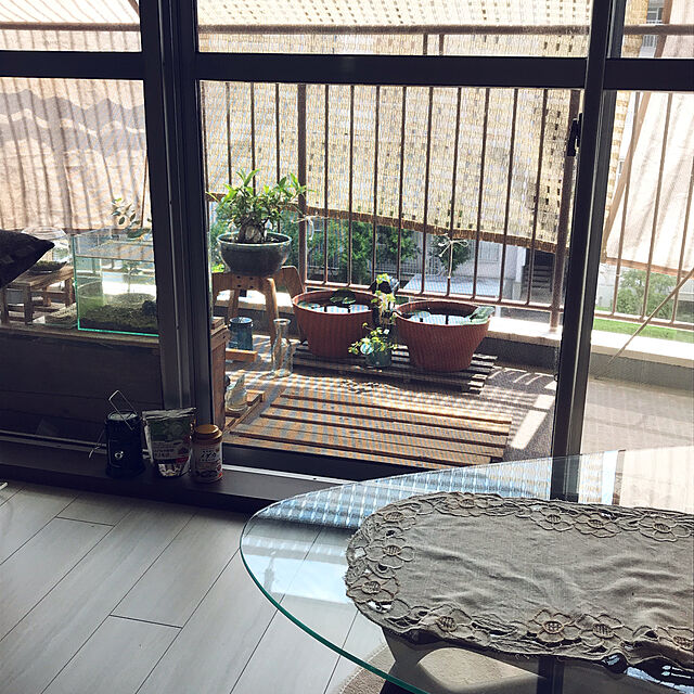 mi-saの-カミハタ　信楽焼　めだか鉢　ブラウン／ブルー【HLS_DU】　関東当日便の家具・インテリア写真