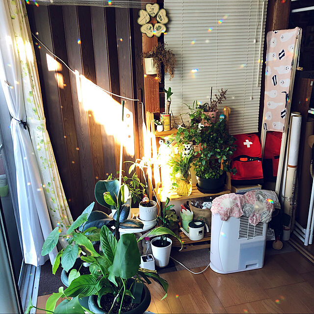 lily2の-【新品訳あり(箱きず・やぶれ)】 CORONA 除湿機 CD-S6319(P) ミルキーピンクの家具・インテリア写真