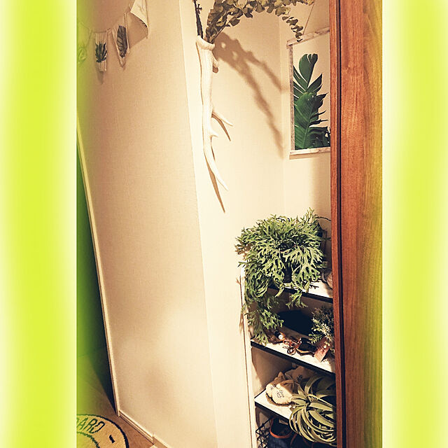 maikeru.3384の-ポタニカル ガーランド Botanical Garland 旗 フラッグ パーティー ポタニカル柄の家具・インテリア写真