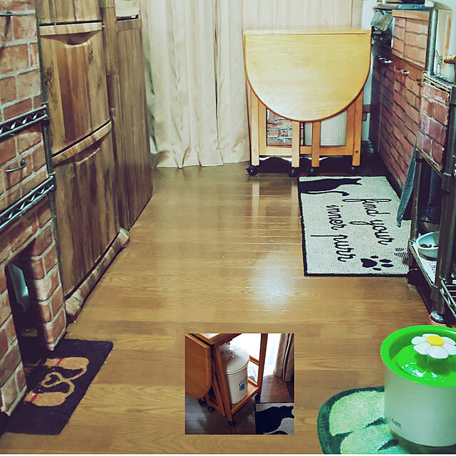 kobakissaの-ジェックス catit フラワーファウンテンの家具・インテリア写真