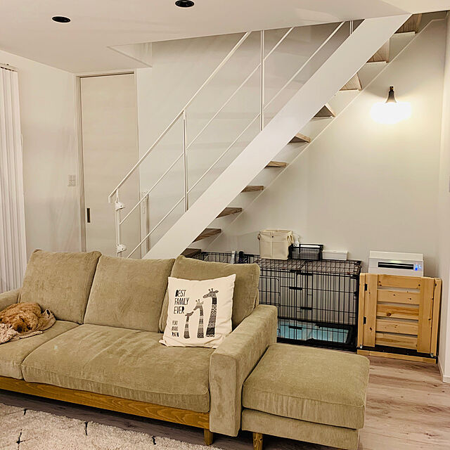 526のティーレックス-Lascal ラスカル キディガード 階段上設置可能 ロール式 ゲート バリアフリー フリーサイズ アシュア ホワイトの家具・インテリア写真