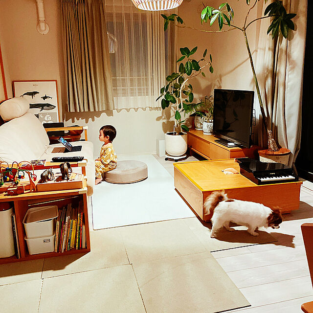 Niihoの-14761 シュライヒ (Schleich ) アフリカ象（メス）の家具・インテリア写真