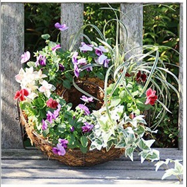 garden_life_saiの-届いてすぐ飾れる　季節のお花寄せ植え　リース型の家具・インテリア写真