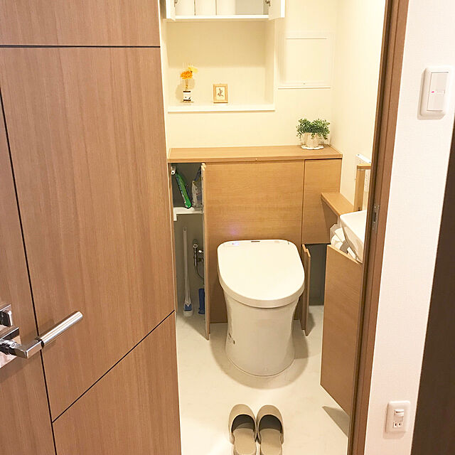 Risaのジョンソン-スクラビングバブル トイレ洗剤 流せるトイレブラシ 本体ハンドル1本+付替用4個の家具・インテリア写真