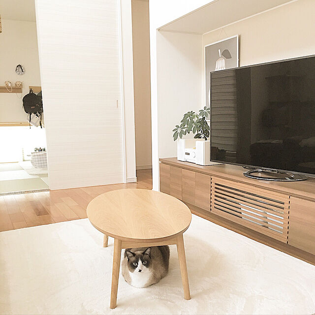 samisoの-折りたたみテーブル オーバル型 楕円 折り畳みテーブル 省スペース オーバル ウォルナット アッシュ チェリー 北欧 新生活 1人暮らし 送料無料 エムールの家具・インテリア写真