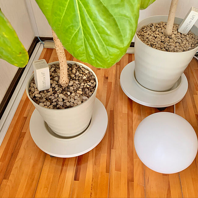 asukanのスパイス-栄養剤 観葉植物 ガーデニング 雑貨 栄養剤カバー WHITEの家具・インテリア写真