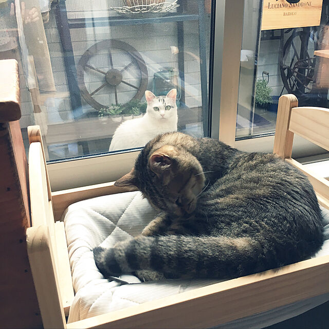 Miechamのイケア-送料無料【IKEA イケア】DUKTIG人形用 ベッド リネン付き 犬用猫用 ペット用ベッド プレゼントにの家具・インテリア写真
