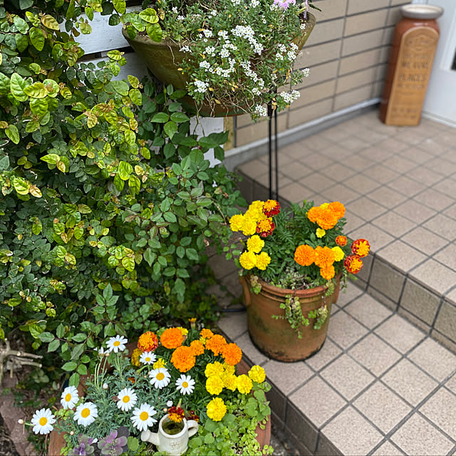 写真付きレビュー 傘立て 陶器 ポート ベストシングス モスグリーン ブラウン アンティーク 傘立て 傘立て おしゃれ 傘立て アンブレラスタンド かさたて 北欧 玄関 収納 スリムの通販商品 口コミ情報 Roomclipショッピング