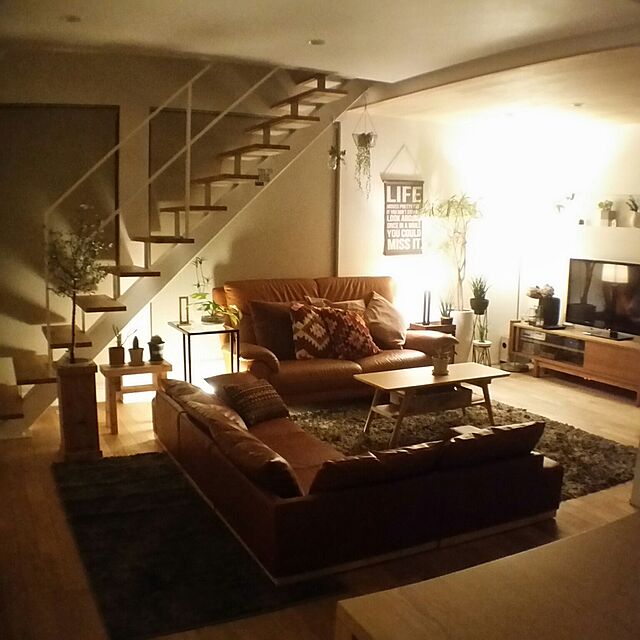 chieの-アガベ アメリカーナ　黄斑入の家具・インテリア写真