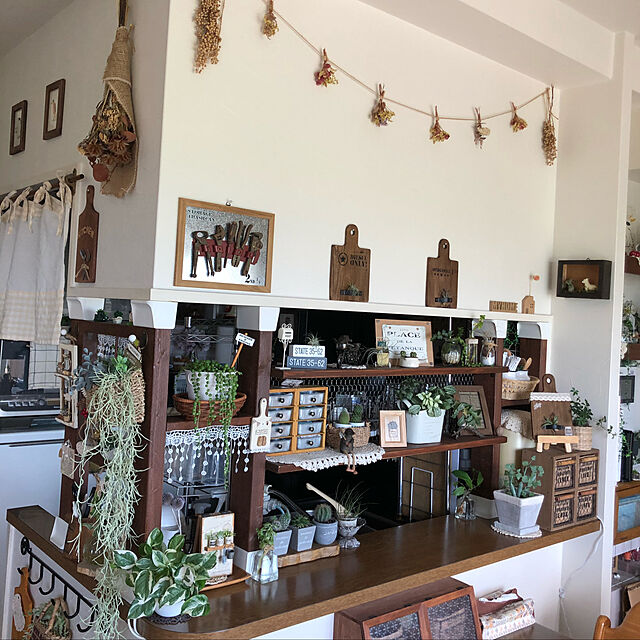 miyakoの-観葉植物/グリーンネックレス3号ポット苗の家具・インテリア写真