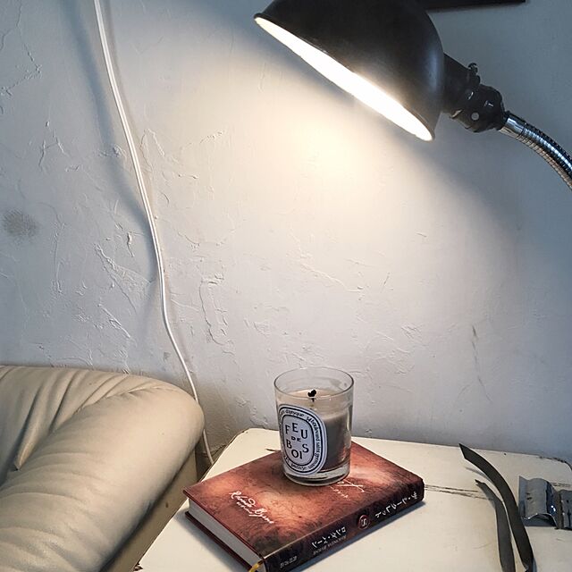 Mikaの-ディプティック フドゥボア（たきぎ） キャンドル 190g DIPTYQUE FEU DE BOIS CANDLE［0154］の家具・インテリア写真