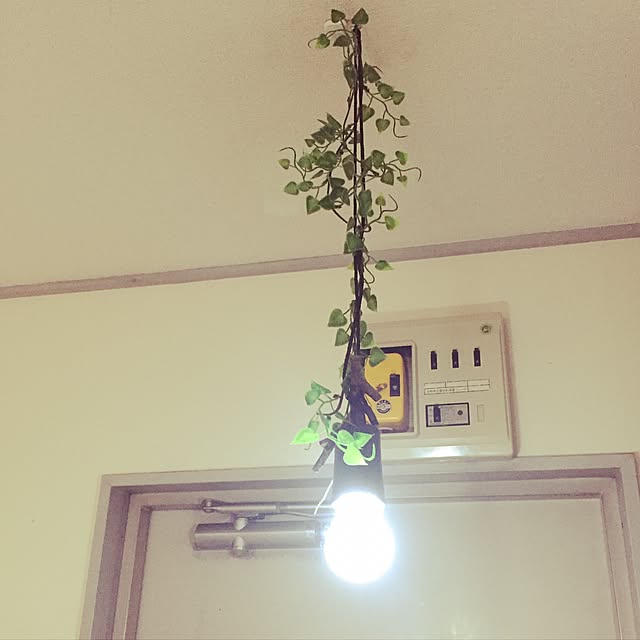 Asukaの-LEDライト どこでもプルライト 2WAY 吊るす×置く 電池式ライト ロープ付き 多目的LEDライト 照明 電球型 HRN-275 新生活 引っ越しの家具・インテリア写真