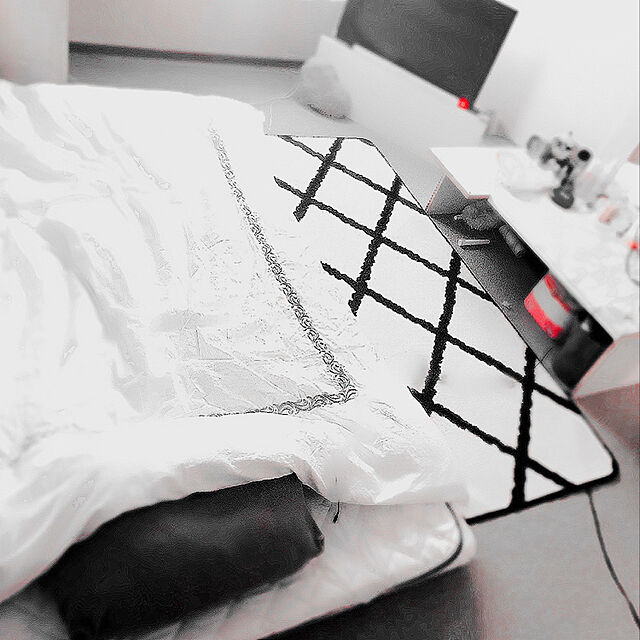 yucci29のニトリ-ひもなしラクラク掛け布団カバー ダブル(Nグリップサシャ D) の家具・インテリア写真