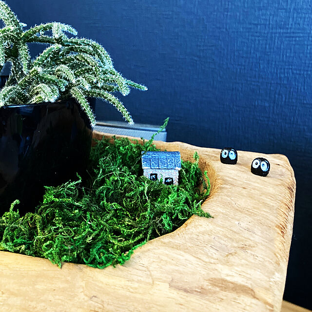 wg_roomのTenlacum-Tenlacum 20個ミニチュア 妖精の庭 ドールハウス インテリア 箱庭用 マイクロ風景 盆栽 DIY装飾 クラフト 小道具の家具・インテリア写真