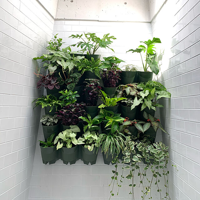 LisaのWORTH園芸-WORTH GARDEN 垂直緑化壁掛けプランター 植物の壁 壁飾り (緑3個)の家具・インテリア写真