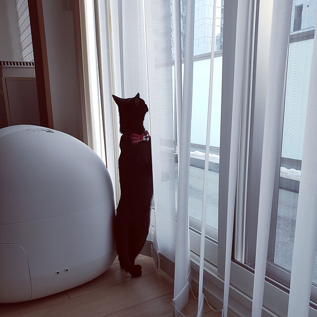 sakuraのPetkit-PETKIT 猫 トイレ スマホ管理 センサー付き 飛散防止 自動 定期清掃 掃除簡単 お留守番 専用APP IOS/Android対応 日本語説明書付き MAXの家具・インテリア写真