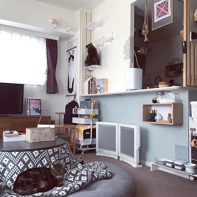 和合商事 耐荷重100kgの折りたたみ式棚受け金具 ジャンボ 45 収納 2本1組 のレビュー 口コミとして参考になる投稿11枚 Roomclip ルームクリップ