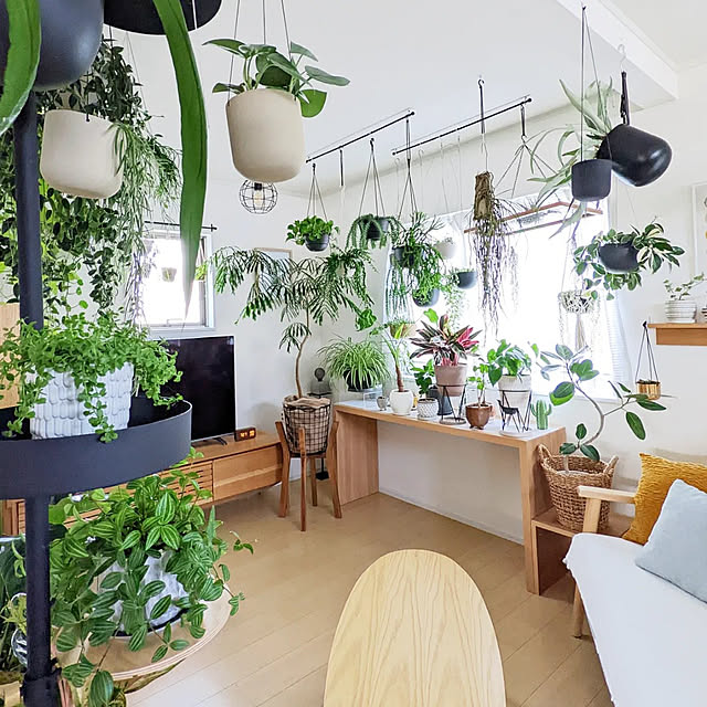 写真付きレビュー プランター プラントポット キントー Kinto 17 4cm ベージュ 送料無料 ハンギングプランター 吊り鉢 プラントハンガー 植木鉢 壁掛け 吊るす 吊り下げ おしゃれ 観葉植物 屋内 室内 店舗 ディスプレイ お店 多肉植物 底穴 3980円以上送料無料