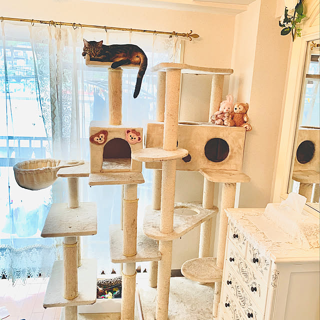 完売 キャットタワー アラモード ピンク 未開封 Mau 三番搾り様専用 猫用品 Www Indiashopps Com