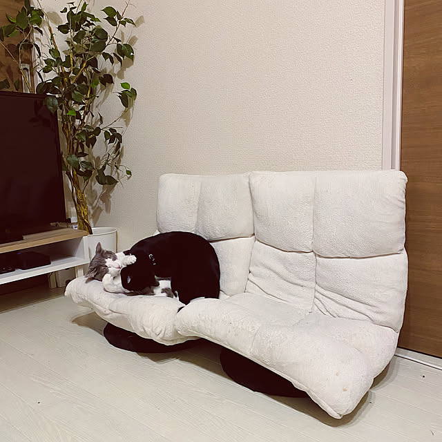 座椅子 おしゃれ コンパクト 回転座椅子 Rsc 148チェア 椅子 イス 座いす リラックスチェア ローチェアー リクライニング リビング リビングチェアー ソファー 一人掛け 一人掛けソファ 回転 折り畳み シンプル ホワイト ブラウン P2 補 のレビュー クチコミとして 座椅子 おしゃれ コンパクト 回転座椅子 Rsc 148チェア 椅子 イス 座いす リラックスチェア ローチェアー リクライニング リビング リビングチェアー ソファー 一人掛け 一人掛けソファ 回転 折り畳み シンプル ホワイト ブラウン P2 補 のレビュー クチコミとして