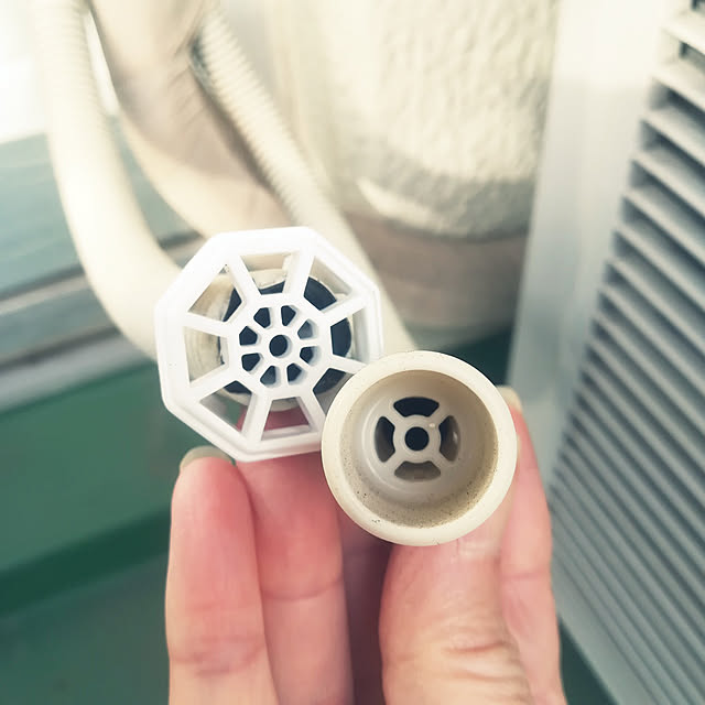 ダイソー 虫ピンのまとめページ Roomclip ルームクリップ ダイソー 虫ピンのまとめページ Roomclip ルームクリップ