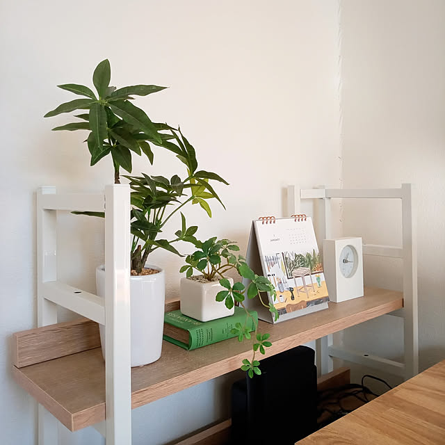 フェイクグリーン 人工観葉植物ミニミニ四角鉢とシサス シガーバイン シッサス 鉢デザイン選択可 造花 観葉植物インテリアグリーン 光触媒 北欧 雑貨 ミニ観葉植物 かわいい おしゃれ 枝のレビュー クチコミとして参考になる投稿3枚 Roomclip ルームクリップ