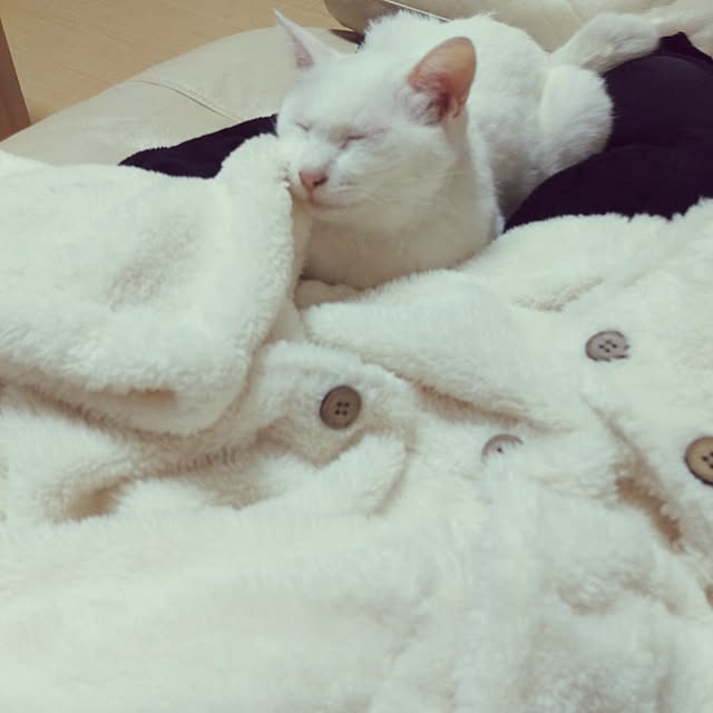 ルームウェア レディース 冬 ルームウェア もこもこ 冬 ワンピース ルームウェア レディース パジャマ 裏起毛 着る毛布 ふわもこ パジャマ レディース 冬 ガウン ルームウエア 前開き 裏起毛 モコモコ 部屋着 長袖 15 のレビュー クチコミとして参考になる投稿1枚