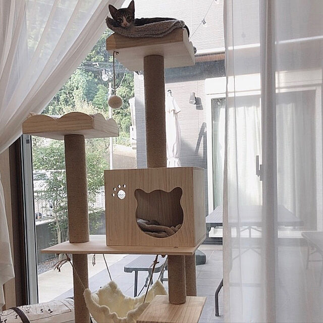 【写真付きレビュー】RAKU 木製キャットタワー 松の木 麻紐 猫タワー 家具調 自然素材 据え置き 複数飼い 爪とぎ 省スペース 階段