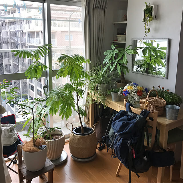 写真付きレビュー おしゃれな植木鉢 テラコッタ サフィ 36w 3点セット 植木鉢 おしゃれな植木鉢 鉢 テラコッタ 素焼き鉢 陶器鉢 の通販商品 口コミ情報 Roomclipショッピング