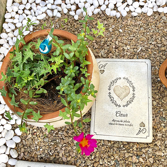 敷石 アリスのトランプ ステップストーン タイル 庭 不思議の国のアリス かわいい ガーデニング 置く オブジェ 踏み石 置物 キュート アンティークのレビュー クチコミとして参考になる投稿29枚 Roomclip ルームクリップ