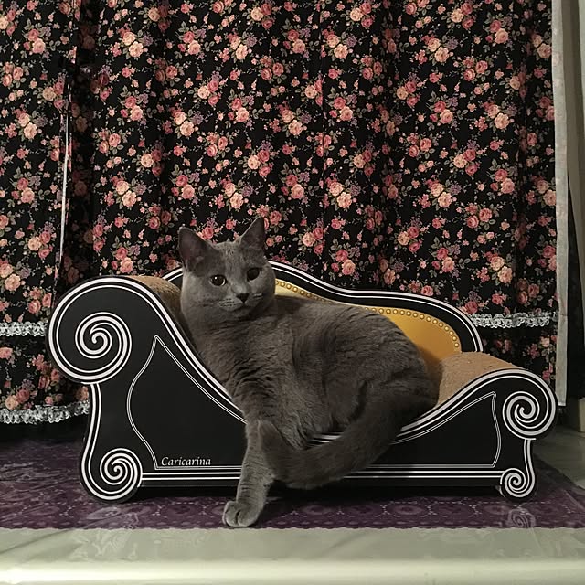 クーポンで0円off 送料無料 カリカリーナ 日本製 ベーシック グランデ L Caricarina Basic 爪研ぎ 爪とぎ つめとぎ ダンボール 段ボール 猫 ねこ ネコ Cat おしゃれ 猫用 猫のつめとぎ カリカリーナ 国産 猫 ねこのレビュー クチコミとして参考になる投稿1枚