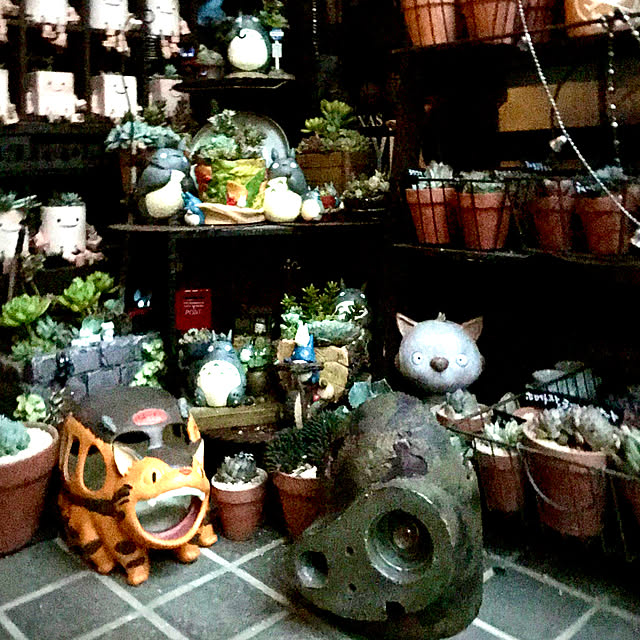 観葉植物 ギフト ジブリプランター 多肉寄せ植え となりのトトロ 葉っぱあつめ 植え込み完成品 1鉢 沖縄 別途送料のレビュー クチコミとして参考になる投稿9枚